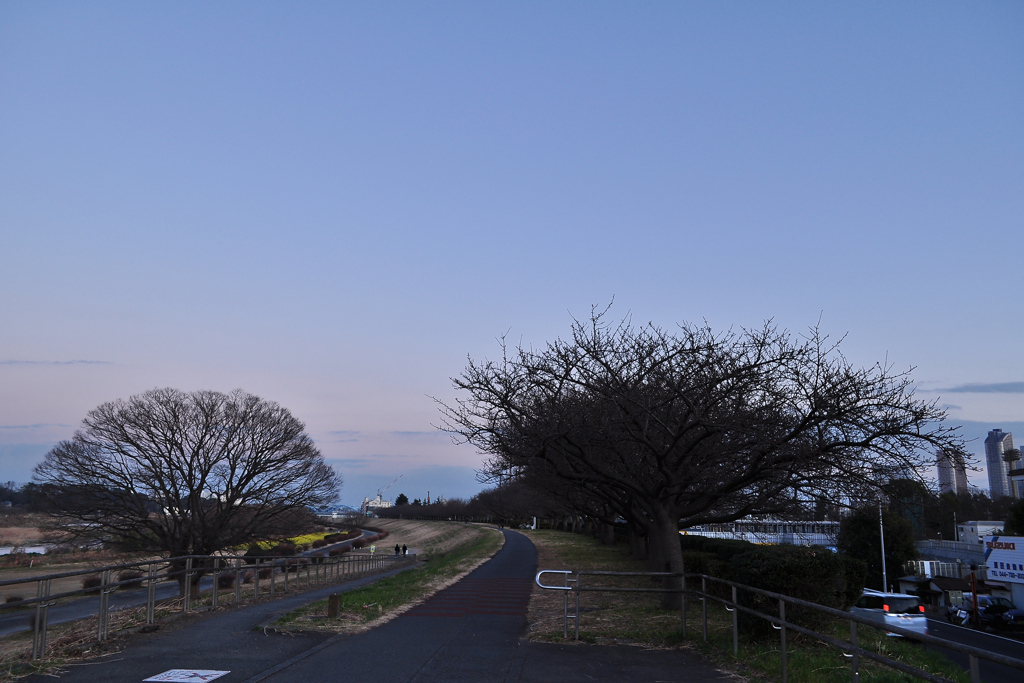 真冬の寒さな多摩川