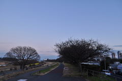 真冬の寒さな多摩川