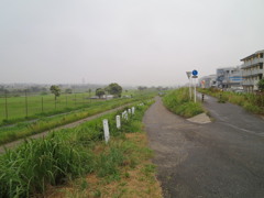 梅雨の霧の道