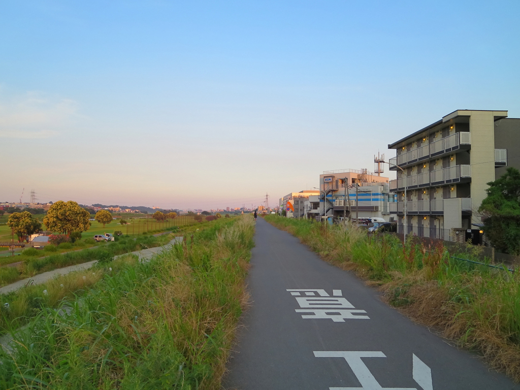 暑い夏の日の道へ