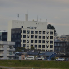 Nanoloop みたいな建物