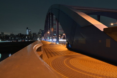 丸子橋の夜景