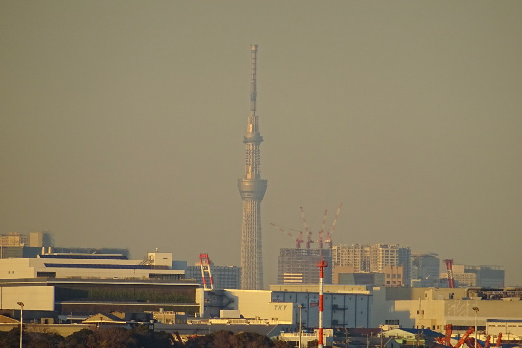 「超望遠」東京スカイツリー