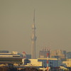 「超望遠」東京スカイツリー