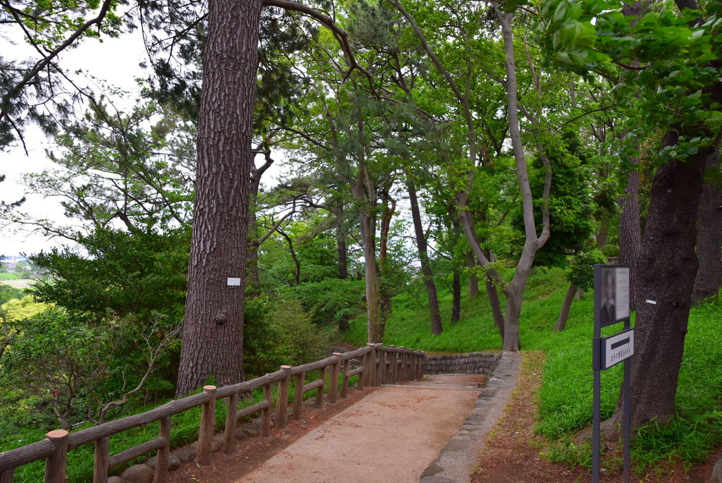 多摩川台公園の道へ