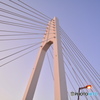 大師橋のケーブル