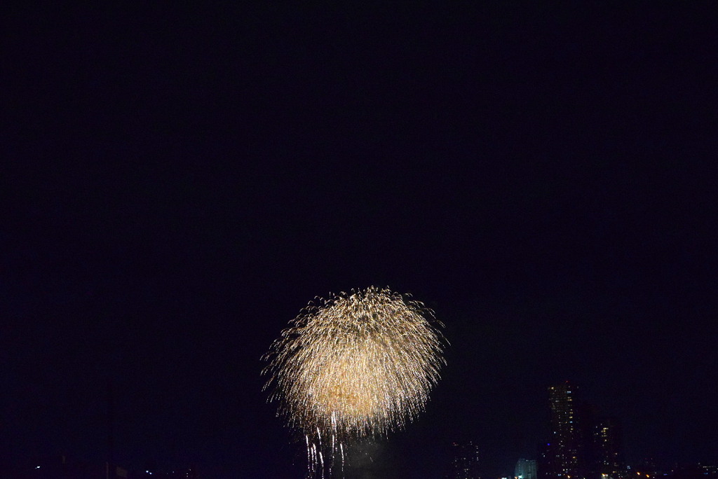 多摩川花火大会 三