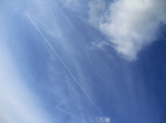 飛行機雲