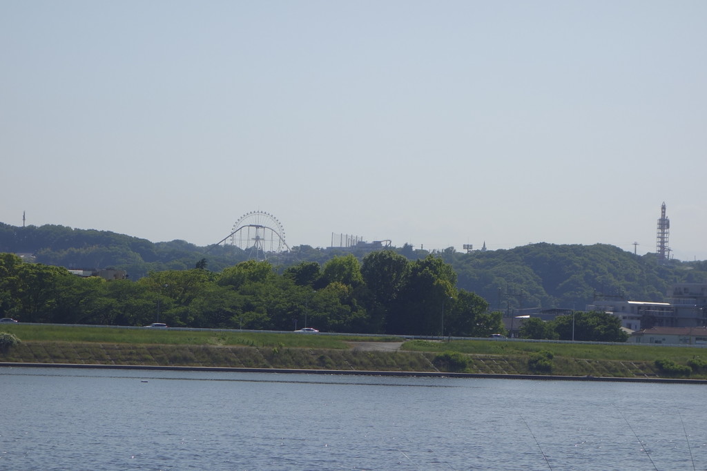 多摩川から見たよみうりランド