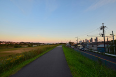 ワイド過ぎる多摩川サイクリングの道