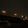 夜の丸子橋「ぶれなくでも画質が汚い」