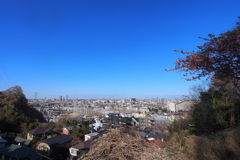 橘樹官衙遺跡の近くの見晴らし