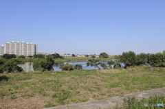 多摩川の登戸風景