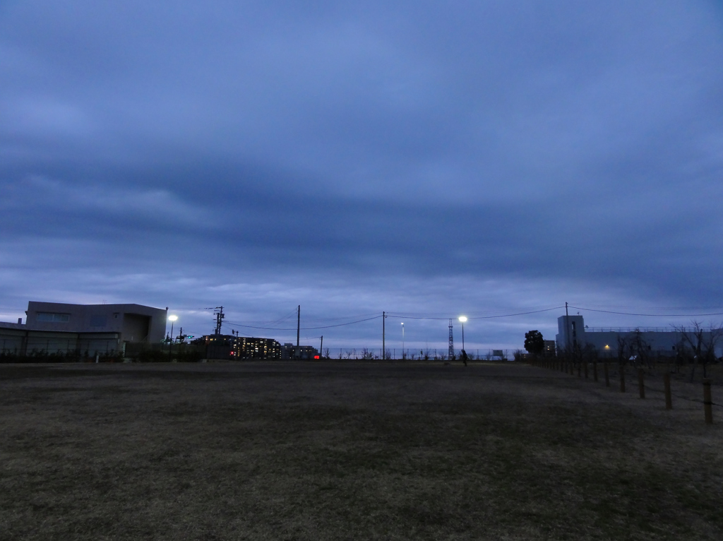 寒くなった川崎市御幸公園