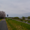 お花見もほとんど少ない