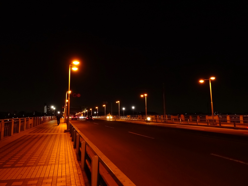 丸子橋の夜景