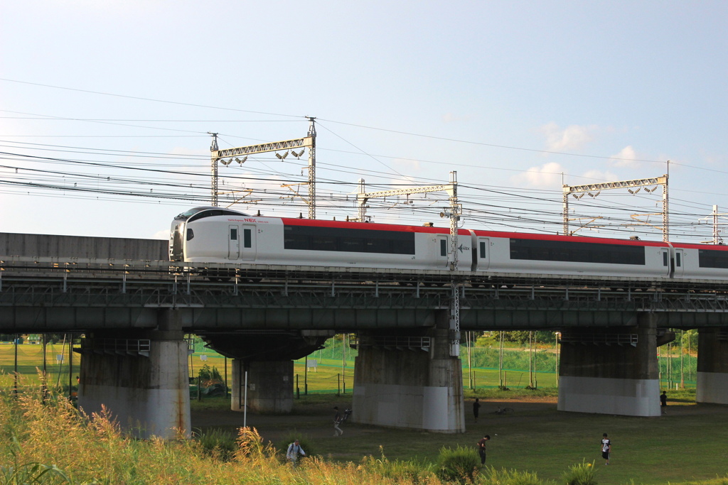 E259系 成田エクスプレス