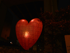 光ハート♡ 光ハート♡