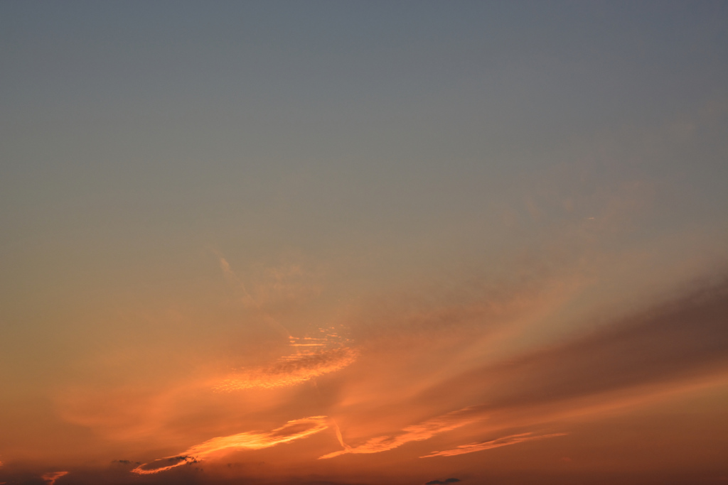 金色の夕焼け