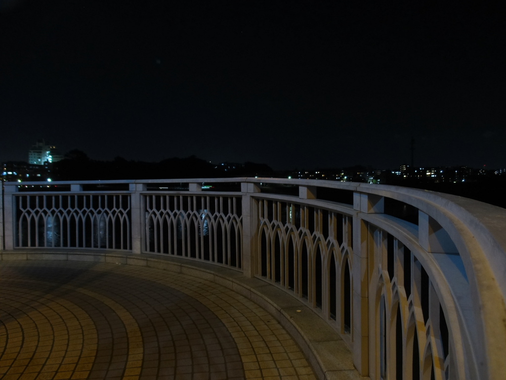 丸子橋の暗い所の夜景