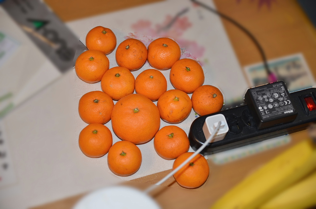 みかんの学校