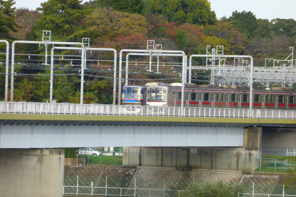 都営6300形 東急5050系