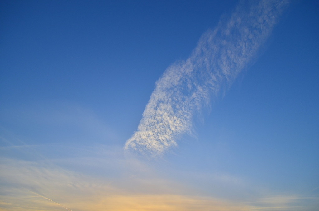 「絹雲」っぽいね