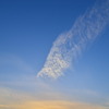 「絹雲」っぽいね