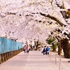 散歩道
