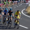 JAPAN CUP2014