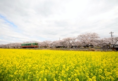 真岡鉄道