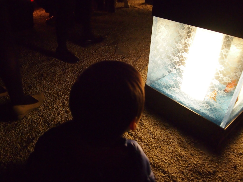 くっきりはっきり