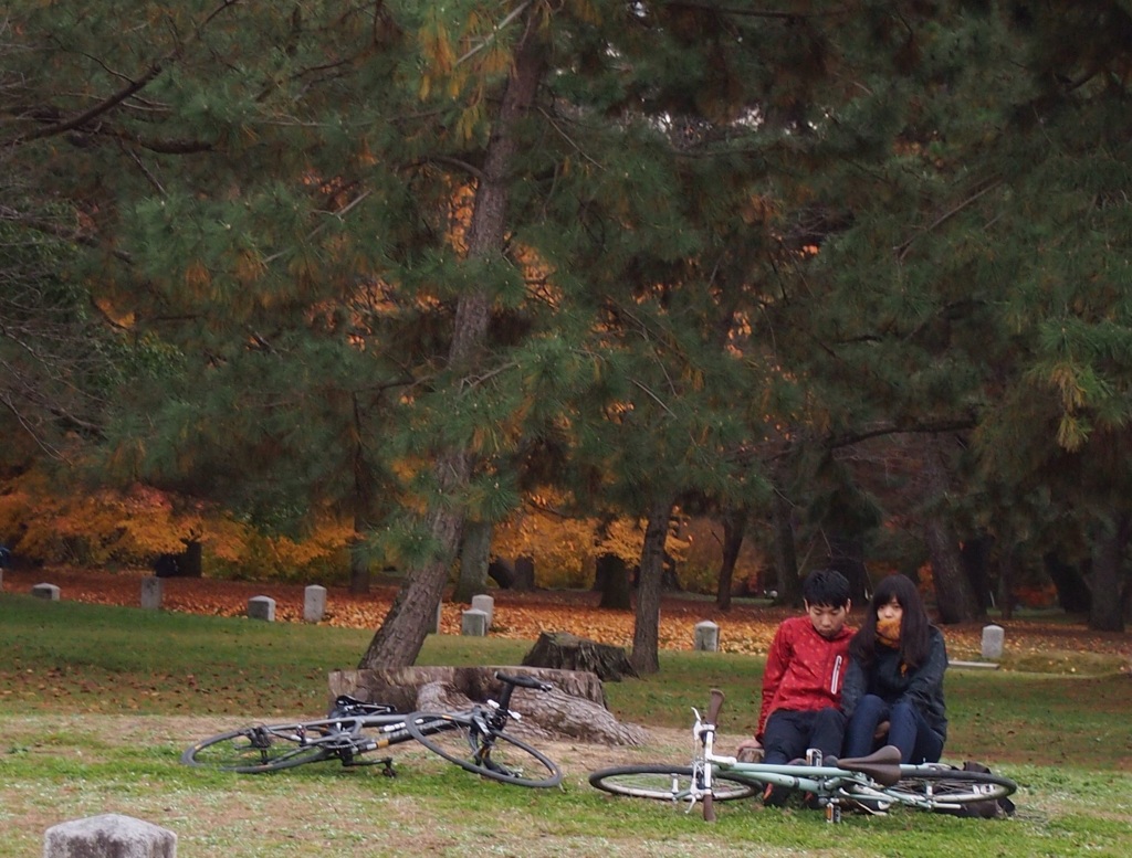 思い通りにならない