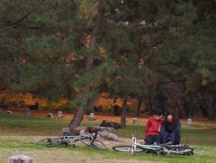 思い通りにならない