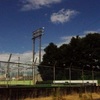 夏の思い出（フィルム風）