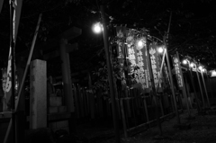 近所散歩⑧
