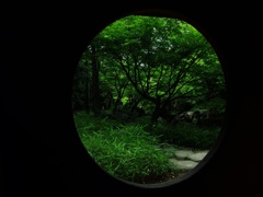 白鳥庭園1
