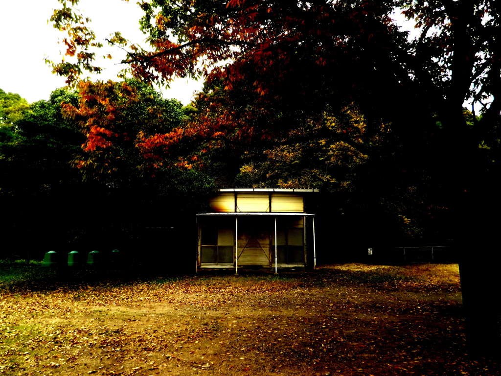 紅葉と物置
