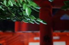 神社