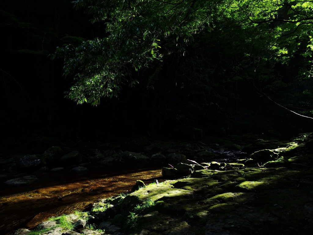 赤目四十八滝③