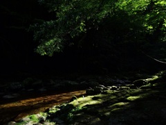 赤目四十八滝③