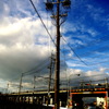 雲
