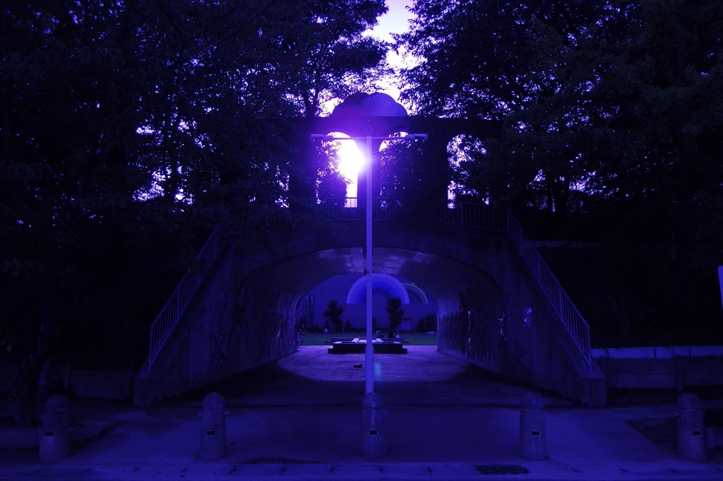 公園