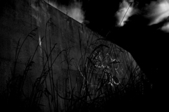 コントラスト②