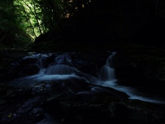 赤目四十八滝⑤