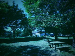 トイカメラ風③