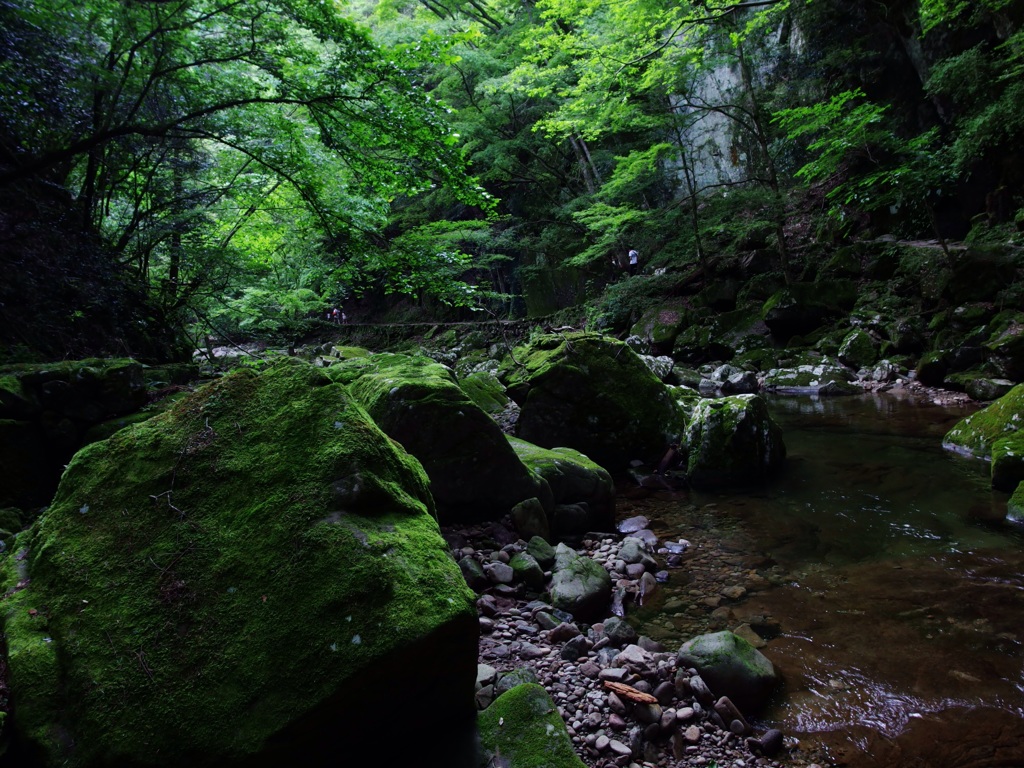 赤目四十八滝⑦