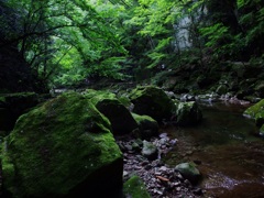 赤目四十八滝⑦