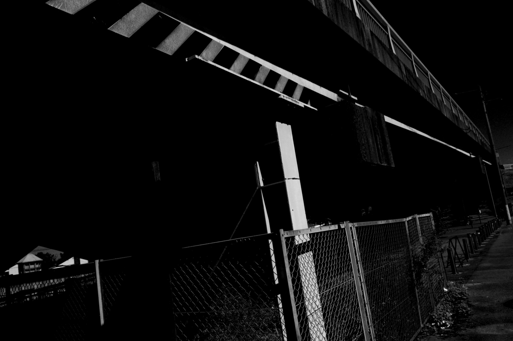 コントラスト⑤