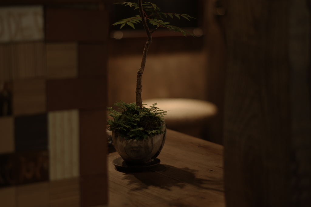 カウンターの片隅に